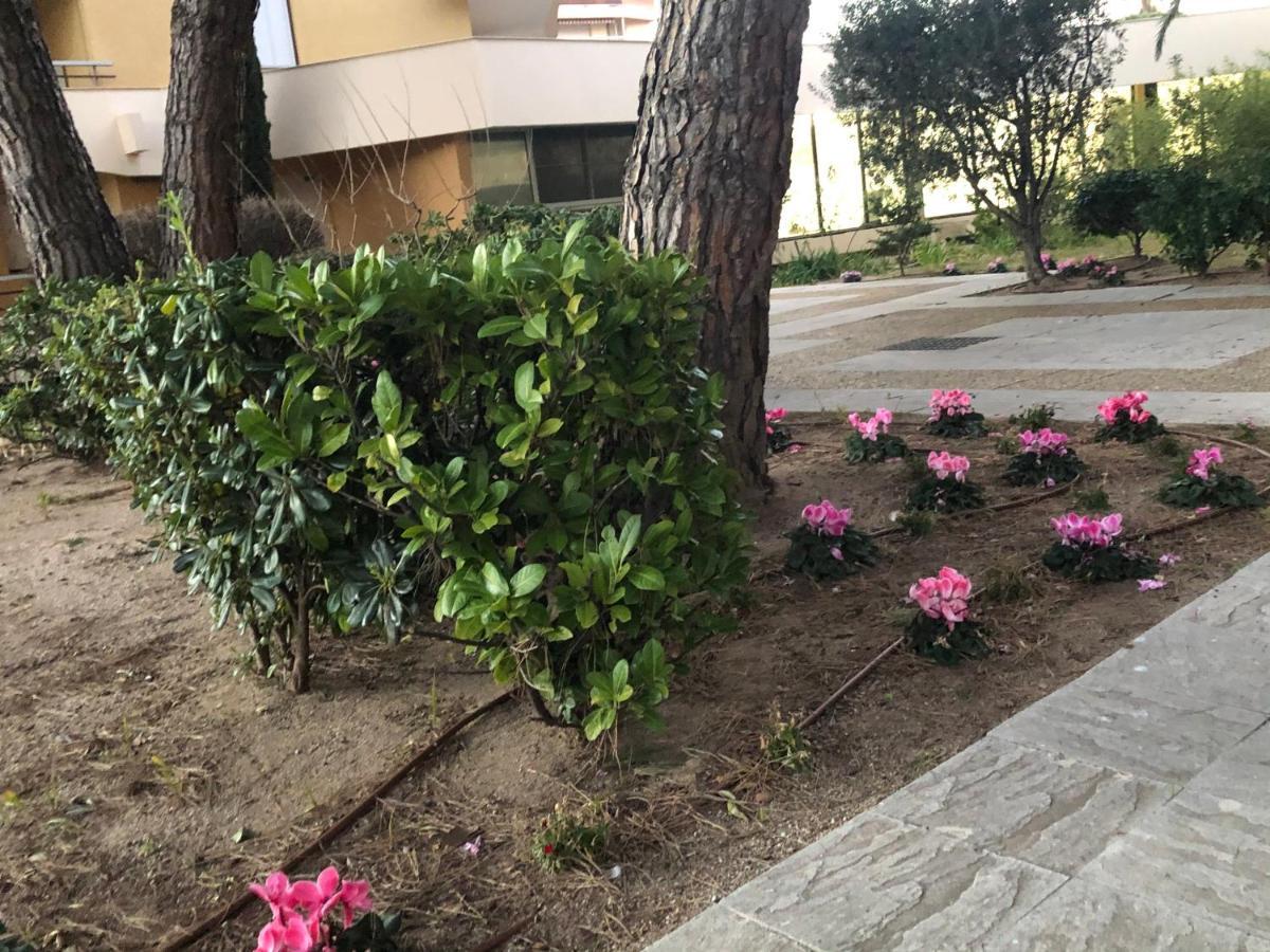 Residence La Miougrano Frejus Plage Εξωτερικό φωτογραφία